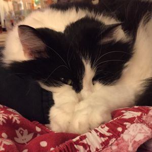 Meet your Posher, Mary